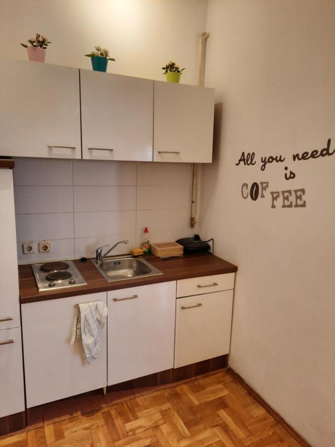 Studio Apartment Загреб Екстериор снимка